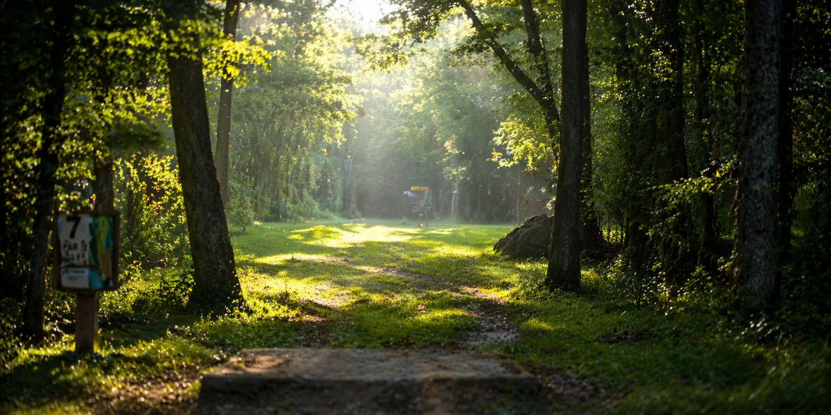 A disc golf fairway cutting through a tree-lined forest